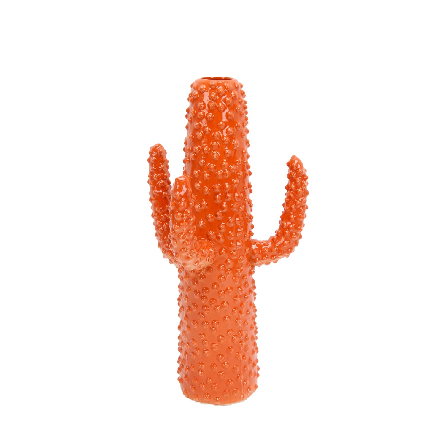 Cactus vaso – ceramica – Dia.11×43